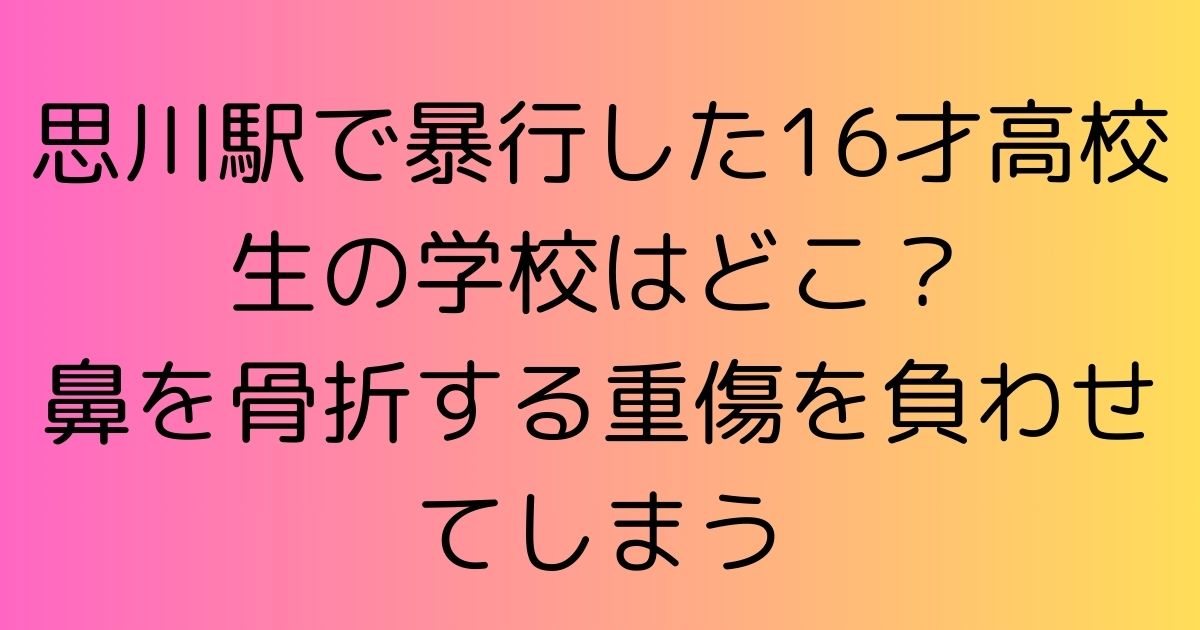 思川駅で暴行した16才高校生の学校はどこ？鼻を骨折する重傷を負わせてしまう