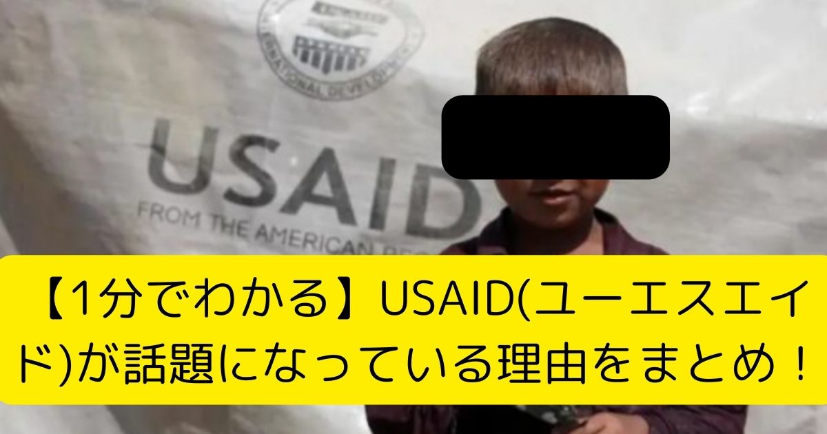 【1分でわかる】USAID(ユーエスエイド)が話題になっている理由をまとめ！